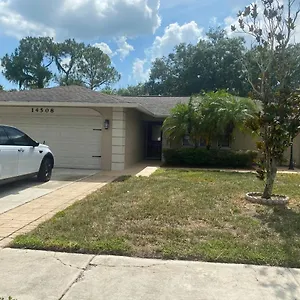 Cheerful 3 Bed House In A Cul- De-sac! , Tampa United States